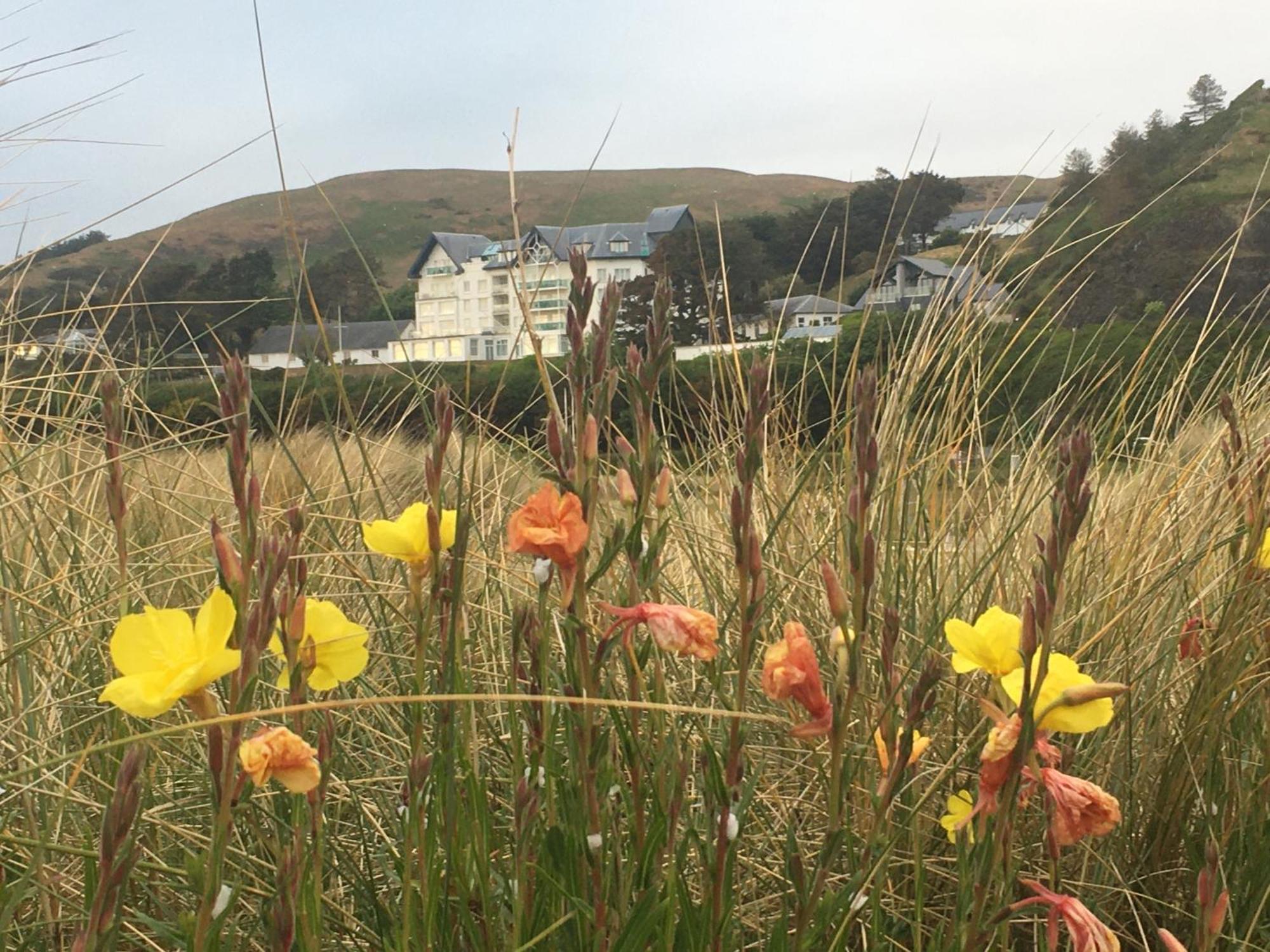 Lovely Seafront 2 Bedroom Apartment 4 Aberdyfi Eksteriør billede